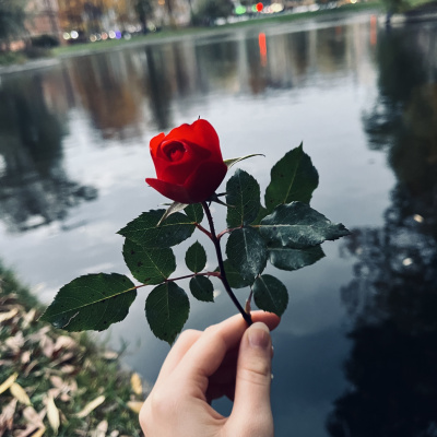 Константин Эм - Миниатюры: 1. Дай волю сердцу. 3. Я хочу. HubKnigi — Аудиокниги Онлайн | Классика, Детективы, Поэзия и Более