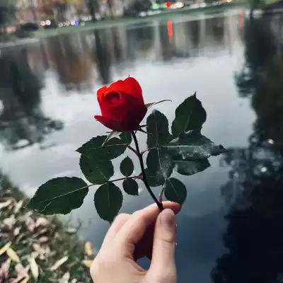 Константин Эм - Миниатюры: 1. Дай волю сердцу. 3. Я хочу. HubKnigi — Аудиокниги Онлайн | Классика, Детективы, Поэзия и Более