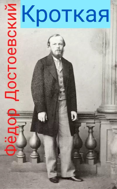 Достоевский Фёдор - Кроткая HubKnigi — Аудиокниги Онлайн | Классика, Детективы, Поэзия и Более