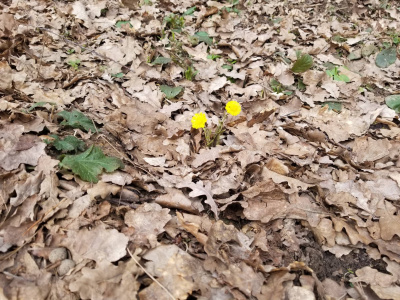 Катыкова Ирина - Рефлектор HubKnigi — Аудиокниги Онлайн | Классика, Детективы, Поэзия и Более