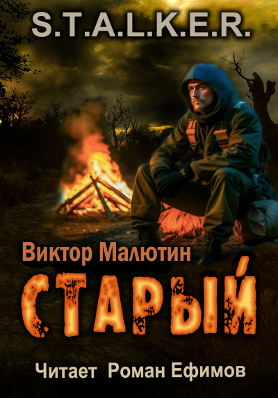 Малютин Виктор - S.T.A.L.K.E.R. Старый HubKnigi — Аудиокниги Онлайн | Классика, Детективы, Поэзия и Более