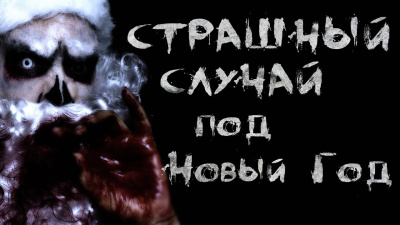 Шалункова Анастасия - Страшный случай под Новый год HubKnigi — Аудиокниги Онлайн | Классика, Детективы, Поэзия и Более