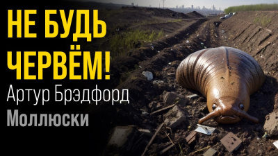 Брэдфорд Артур - Моллюски HubKnigi — Аудиокниги Онлайн | Классика, Детективы, Поэзия и Более