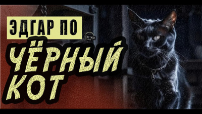 По Эдгар Аллан - Черный кот HubKnigi — Аудиокниги Онлайн | Классика, Детективы, Поэзия и Более