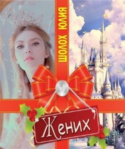 Шолох Юлия - Жених HubKnigi — Аудиокниги Онлайн | Классика, Детективы, Поэзия и Более