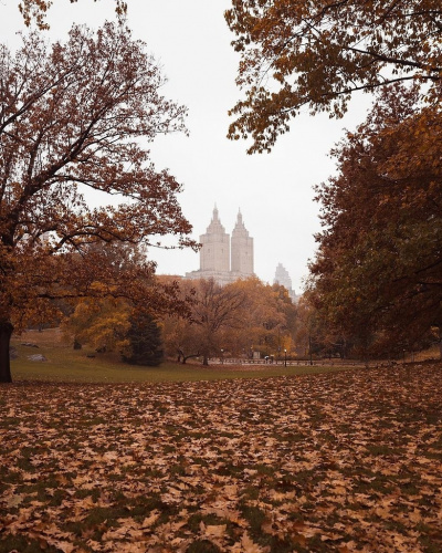 О. Генри - Фараон и хорал HubKnigi — Аудиокниги Онлайн | Классика, Детективы, Поэзия и Более