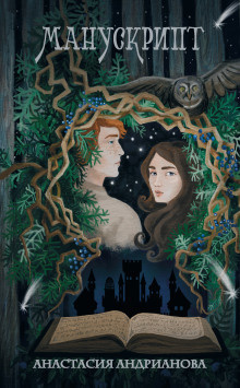 Андрианова Анастасия - Манускрипт HubKnigi — Аудиокниги Онлайн | Классика, Детективы, Поэзия и Более