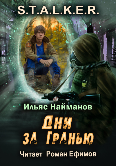 Найманов Ильяс - S.T.A.L.K.E.R. Дни за Гранью HubKnigi — Аудиокниги Онлайн | Классика, Детективы, Поэзия и Более