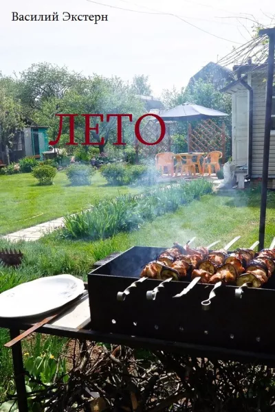 Экстерн Василий - Лето HubKnigi — Аудиокниги Онлайн | Классика, Детективы, Поэзия и Более