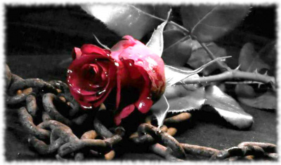 Номак Евгений - Рожденные умирать HubKnigi — Аудиокниги Онлайн | Классика, Детективы, Поэзия и Более