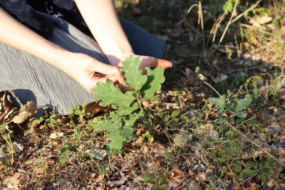 Каммпирр Ориби - Их было трое HubKnigi — Аудиокниги Онлайн | Классика, Детективы, Поэзия и Более
