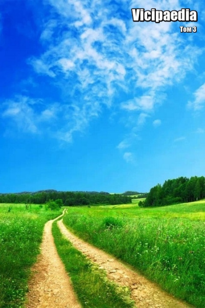 Коллектив авторов - Vicipaedia. Том 3 HubKnigi — Аудиокниги Онлайн | Классика, Детективы, Поэзия и Более