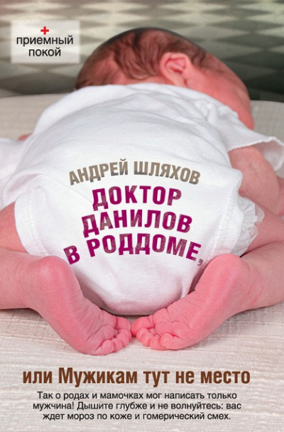 Шляхов Андрей - Доктор Данилов в роддоме, или Мужикам тут не место HubKnigi — Аудиокниги Онлайн | Классика, Детективы, Поэзия и Более