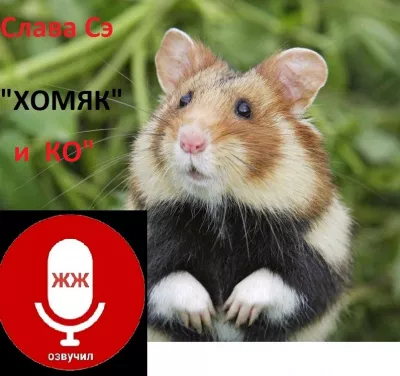 Сэ Слава – Хомяк  и КО HubKnigi — Аудиокниги Онлайн | Классика, Детективы, Поэзия и Более