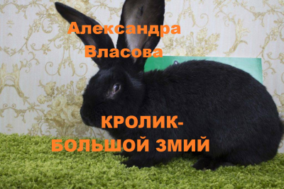 Власова Александра – Кролик- Большой Змий HubKnigi — Аудиокниги Онлайн | Классика, Детективы, Поэзия и Более