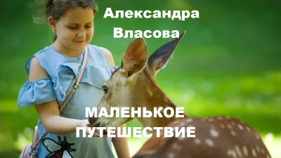 Власова Александра – Маленькое путешествие HubKnigi — Аудиокниги Онлайн | Классика, Детективы, Поэзия и Более