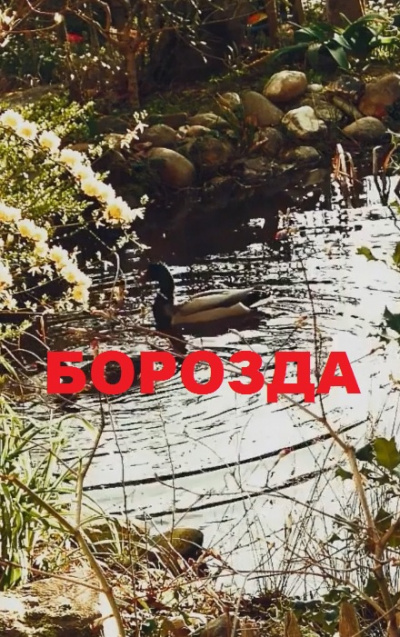 Сысоев Ерофим – Борозда HubKnigi — Аудиокниги Онлайн | Классика, Детективы, Поэзия и Более