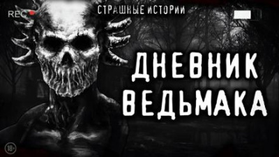 Дневник Ведьмака HubKnigi — Аудиокниги Онлайн | Классика, Детективы, Поэзия и Более