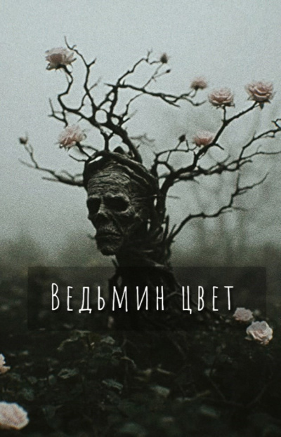 Шитова Екатерина – Ведьмин цвет HubKnigi — Аудиокниги Онлайн | Классика, Детективы, Поэзия и Более