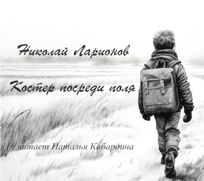 Ларионов Николай – Костер посреди поля HubKnigi — Аудиокниги Онлайн | Классика, Детективы, Поэзия и Более