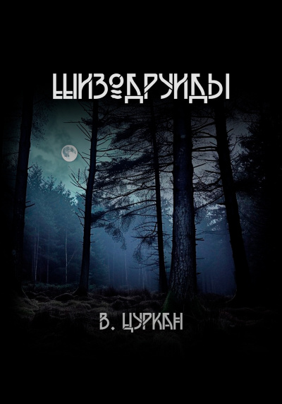 Цуркан Валерий – Шизодруиды HubKnigi — Аудиокниги Онлайн | Классика, Детективы, Поэзия и Более