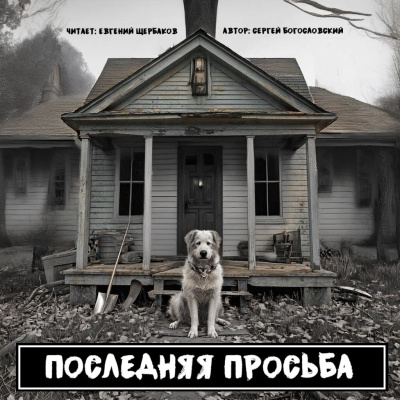 Богословский Сергей – Последняя просьба HubKnigi — Аудиокниги Онлайн | Классика, Детективы, Поэзия и Более