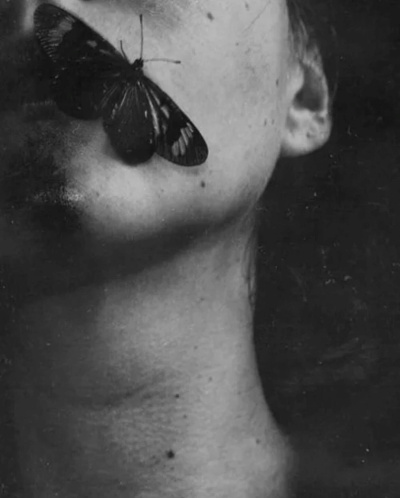 Сенчукова Валентина – Логово мотылька HubKnigi — Аудиокниги Онлайн | Классика, Детективы, Поэзия и Более