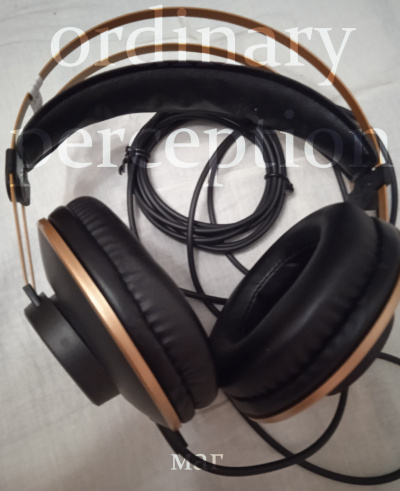 Естествов Максим (МАГ) – Ordinary perception HubKnigi — Аудиокниги Онлайн | Классика, Детективы, Поэзия и Более