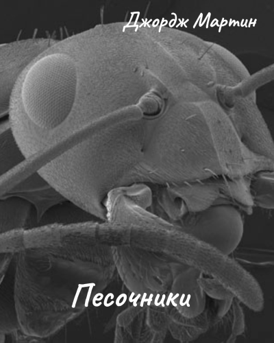 Мартин Джордж – Песочники HubKnigi — Аудиокниги Онлайн | Классика, Детективы, Поэзия и Более