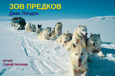 Лондон Джек - Зов предков HubKnigi — Аудиокниги Онлайн | Классика, Детективы, Поэзия и Более