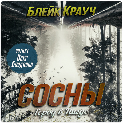 Крауч Блейк - Город в Нигде HubKnigi — Аудиокниги Онлайн | Классика, Детективы, Поэзия и Более