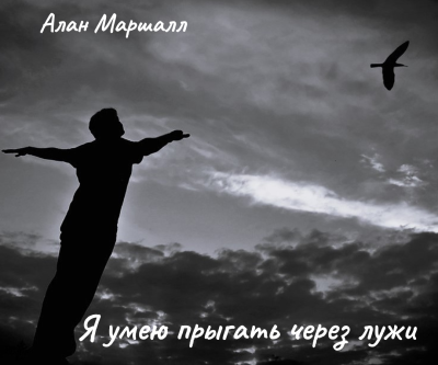 Маршалл Алан – Я умею прыгать через лужи HubKnigi — Аудиокниги Онлайн | Классика, Детективы, Поэзия и Более