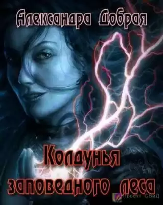 Добрая Александра - Колдунья заповедного леса HubKnigi — Аудиокниги Онлайн | Классика, Детективы, Поэзия и Более
