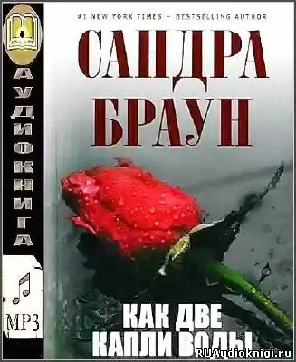 Браун Сандра - Как две капли воды HubKnigi — Аудиокниги Онлайн | Классика, Детективы, Поэзия и Более