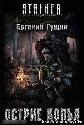 Гущин Евгений - S.T.A.L.K.E.R. Острие копья HubKnigi — Аудиокниги Онлайн | Классика, Детективы, Поэзия и Более