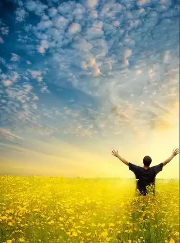 Балсекар Рамеш - Справочник для просветленных HubKnigi — Аудиокниги Онлайн | Классика, Детективы, Поэзия и Более