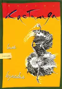 Кастанеда Карлос - Сила безмолвия HubKnigi — Аудиокниги Онлайн | Классика, Детективы, Поэзия и Более
