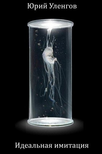 Уленгов Юрий - Идеальная имитация HubKnigi — Аудиокниги Онлайн | Классика, Детективы, Поэзия и Более