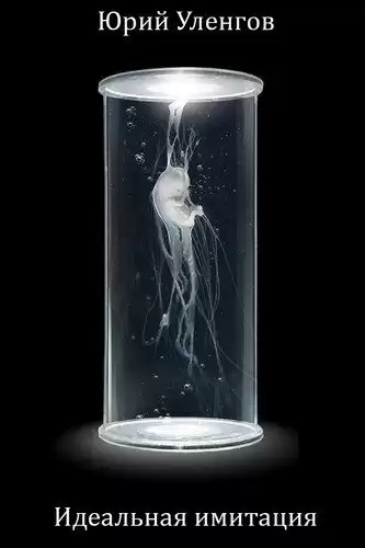 Уленгов Юрий - Идеальная имитация HubKnigi — Аудиокниги Онлайн | Классика, Детективы, Поэзия и Более