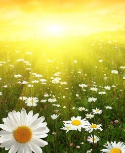 Духовные послания людям HubKnigi — Аудиокниги Онлайн | Классика, Детективы, Поэзия и Более