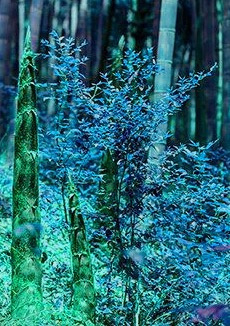 Дик Филип - Отец-двойник HubKnigi — Аудиокниги Онлайн | Классика, Детективы, Поэзия и Более