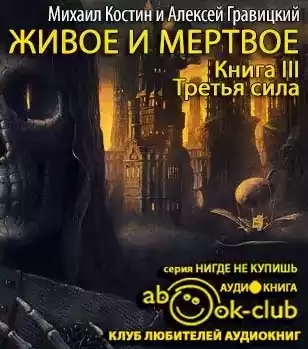 Костин Михаил, Гравицкий Алексей - Третья сила HubKnigi — Аудиокниги Онлайн | Классика, Детективы, Поэзия и Более
