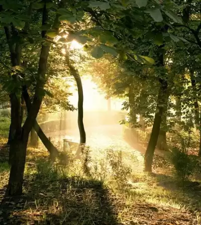 Левин Стивен - Год для жизни. Как прожить этот год, как последний HubKnigi — Аудиокниги Онлайн | Классика, Детективы, Поэзия и Более