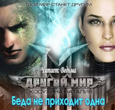 Косухина Наталья - Другой мир. Беда не приходит одна HubKnigi — Аудиокниги Онлайн | Классика, Детективы, Поэзия и Более