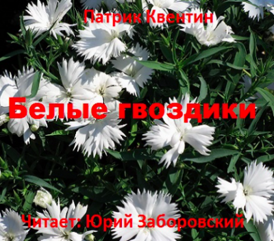 Квентин Патрик - Белые гвоздики HubKnigi — Аудиокниги Онлайн | Классика, Детективы, Поэзия и Более