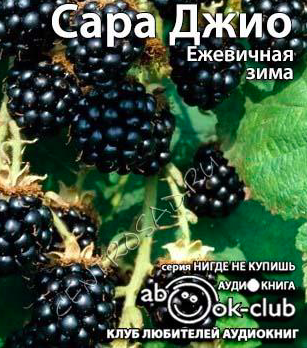 Джио Сара - Ежевичная зима HubKnigi — Аудиокниги Онлайн | Классика, Детективы, Поэзия и Более