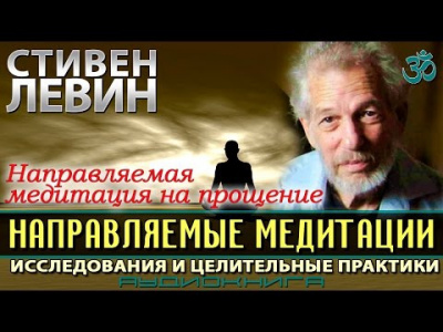 Левин Стивен - Направляемые медитации, исследования и целительные практики HubKnigi — Аудиокниги Онлайн | Классика, Детективы, Поэзия и Более