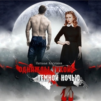 Косухина Наталья - Однажды тихой темной ночью... HubKnigi — Аудиокниги Онлайн | Классика, Детективы, Поэзия и Более