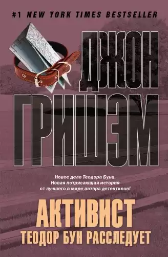 Гришем Джон - Активист. Теодор Бун расследует HubKnigi — Аудиокниги Онлайн | Классика, Детективы, Поэзия и Более