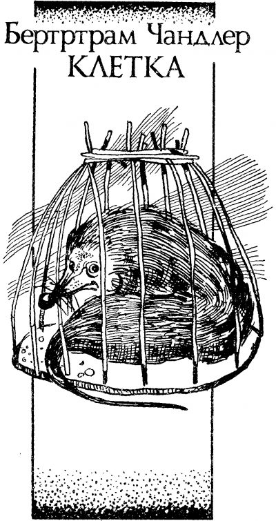 Чандлер Бертрам - Клетка HubKnigi — Аудиокниги Онлайн | Классика, Детективы, Поэзия и Более